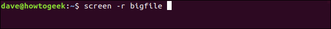 El comando "screen -r bigfile" en una ventana de terminal.