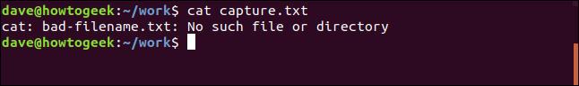 contenido del archivo capture.txt en una ventana de terminal