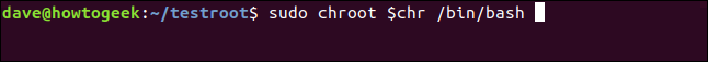 sudo chroot $ chr / bin / bash en una ventana de terminal