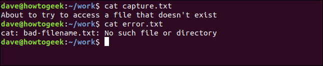contenido de capture.txt y error.txt en una ventana de terminal