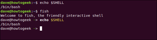 echo $ SHELL en una ventana de terminal.