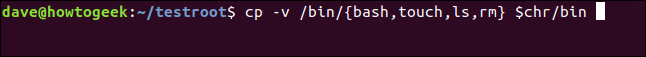 cp -v / bin / {bash, touch, ls, rm} $ chr en una ventana de terminal
