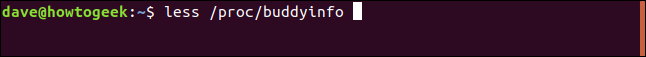 less / proc / buddyinfo en una ventana de terminal