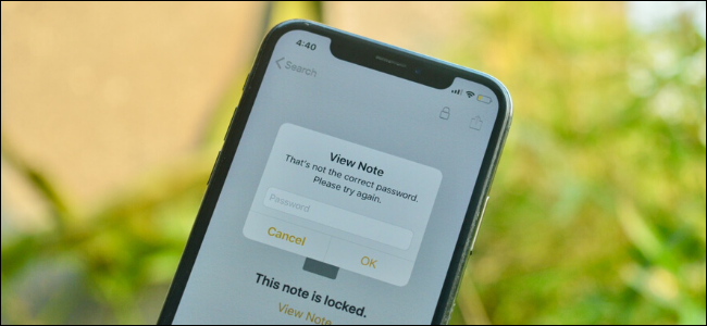 Notas de Apple que muestran que la contraseña es un mensaje incorrecto para una nota bloqueada