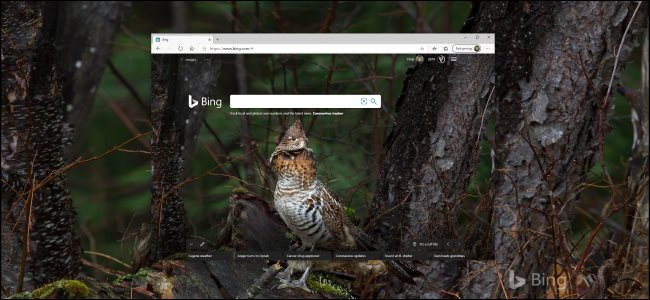 El trasfondo diario de Bing en un navegador y en el escritorio de Windows 10.