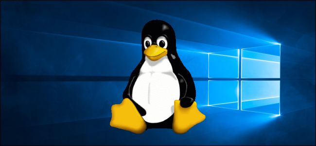 Mascota de Tux de Linux en un fondo de escritorio de Windows 10