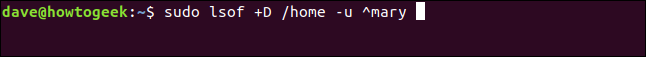 sudo lsof + D / home -u ^ mary en una ventana de terminal