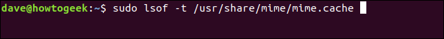 sudo lsof -t /usr/share/mime/mice.cache en una ventana de terminal