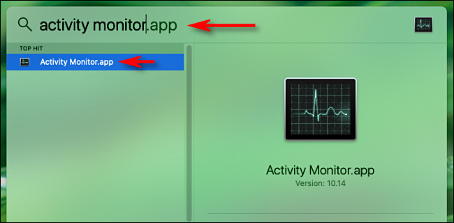 Abra Spotlight Search en Mac y escriba "Monitor de actividad", luego presione Volver.