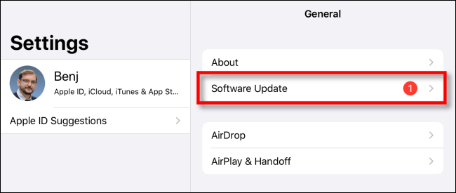 Toca "Actualización de software".