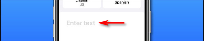 En Apple Translate en iPhone, toque el área "Ingresar texto" para ingresar texto para traducir.