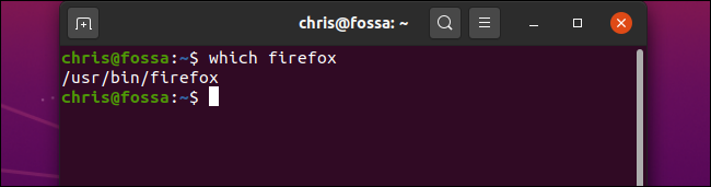 Ejecutando "qué Firefox" en una ventana de Terminal en Ubuntu.