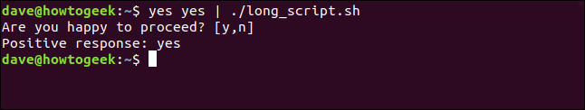 canalizando sí sí a long_script.sh en una ventana de terminal