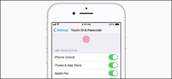 El menú "Touch ID y contraseña" en un iPhone.