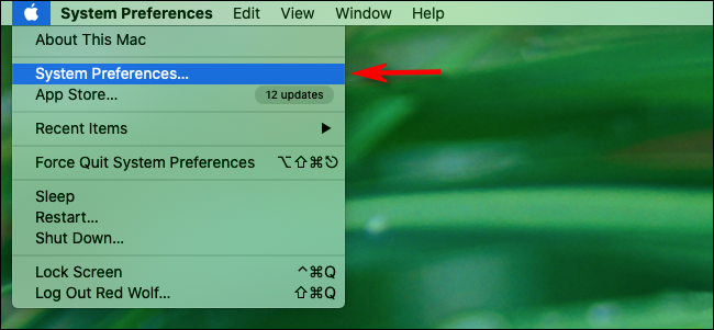 Haga clic en el icono de Apple y luego seleccione "Preferencias del sistema".
