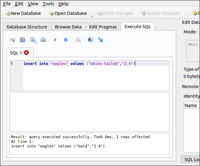 Una instrucción INSERT SQL en la pestaña Ejecutar SQL en DB Browser para SQLite