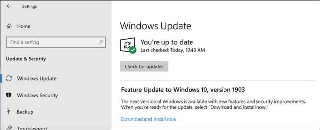 Una opción para instalar una actualización de funciones en Windows Update.