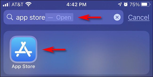 Abra Spotlight Search y escriba "tienda de aplicaciones", luego toque el icono de la tienda de aplicaciones.