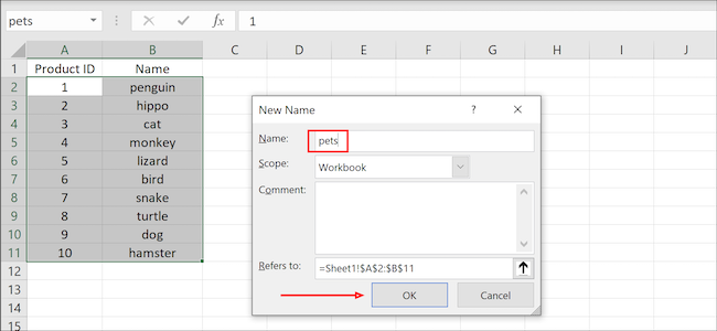 Excel define el nombre