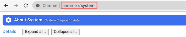 escriba la página del sistema de Chrome en la barra de URL