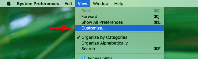 En las preferencias del sistema de Mac, haga clic en "Ver" y luego en "Personalizar"
