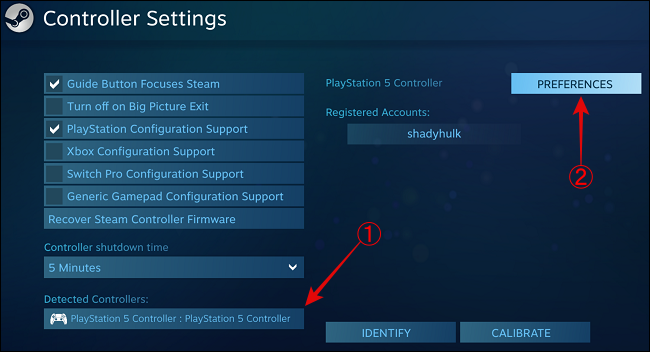 Seleccione el controlador de PS5 y haga clic en Preferencias