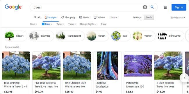 Ejemplos de árboles "azules" en los resultados de búsqueda de imágenes de Google.