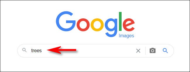 Escribe tu búsqueda en Google Images y presiona Enter.
