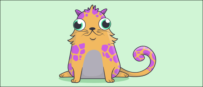 Fundador de CryptoKitty Cat # 18.