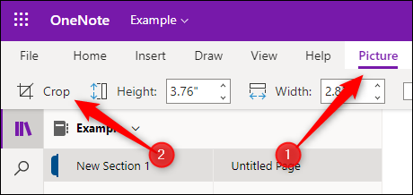 La pestaña de archivo y la opción de recorte en OneNote para la Web