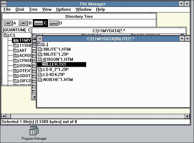 Administrador de archivos que se ejecuta en Windows 3.0