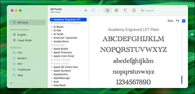 La ventana del Libro tipográfico de Mac en Big Sur.