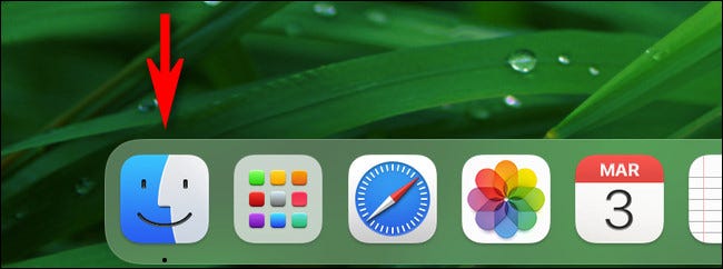 Haga clic en el icono "Finder" en su Dock.