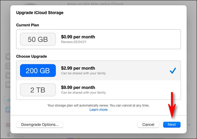 Seleccione un plan de almacenamiento de iCloud, luego haga clic en "Siguiente".