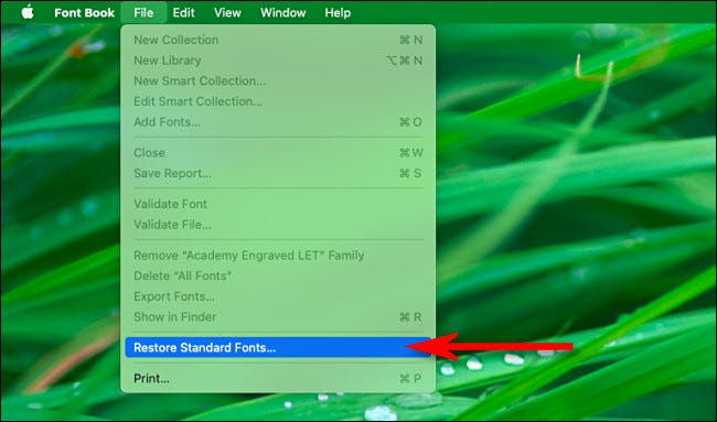 En el menú "Archivo" del Libro de fuentes, haga clic en "Restaurar fuentes estándar".