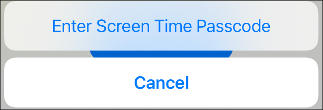 Bloquear aplicaciones con Screen Time en iOS
