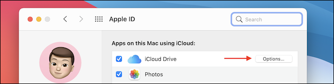 Haga clic en Opciones de iCloud Drive