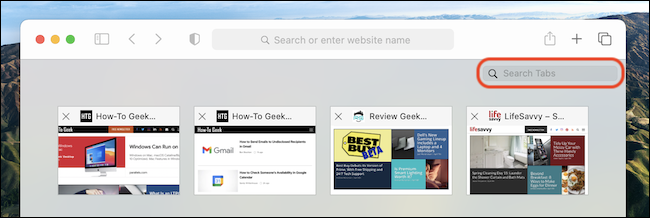 La barra "Pestañas de búsqueda" en el selector de pestañas de Safari en Mac