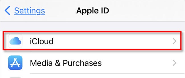 Toca "iCloud".