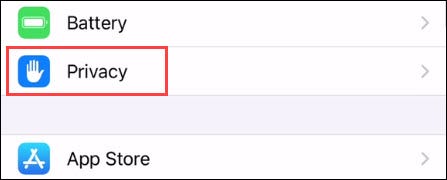 Seleccione "Privacidad" en el menú.