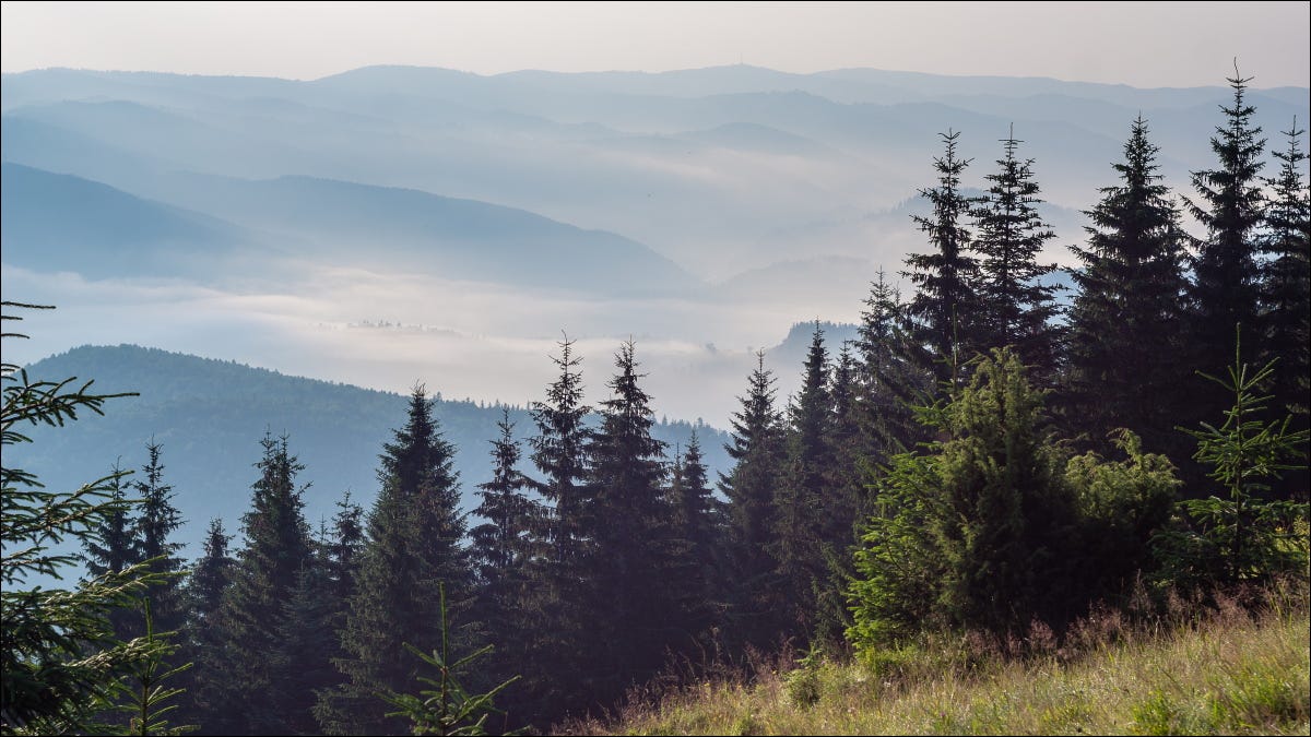 Un valle de bosque neblinoso visto desde la cima de una montaña boscosa.