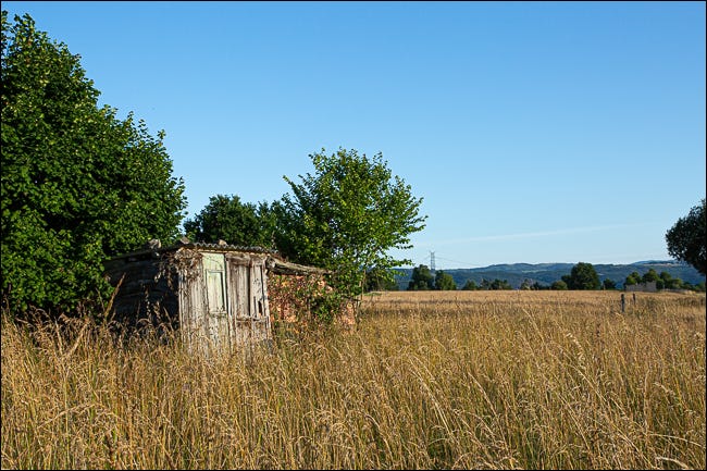 Una choza abandonada en un campo cubierto de maleza.