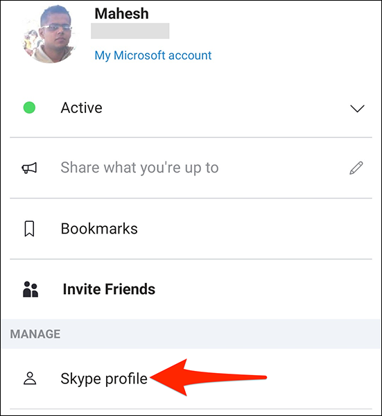 Seleccione "Perfil de Skype" en el menú de perfil en la aplicación móvil de Skype.