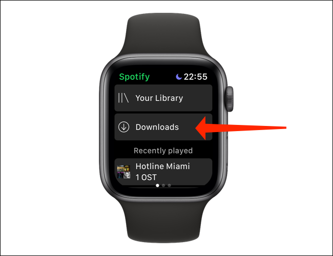 Toca "Descargas" para comprobar qué canciones o podcasts se han descargado en la aplicación Apple Watch de Spotify.