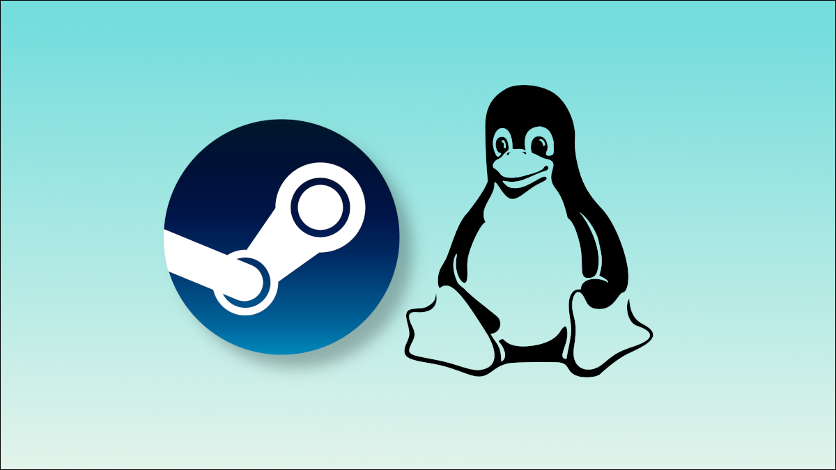 Logotipo de Steam junto al pingüino de Linux