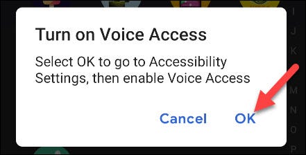 Otorga permisos de accesibilidad a Voice Access.