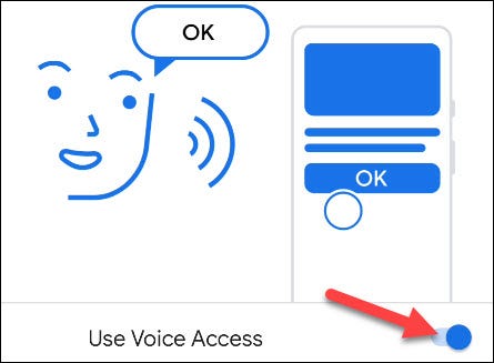 Activa el interruptor para "Usar acceso por voz".