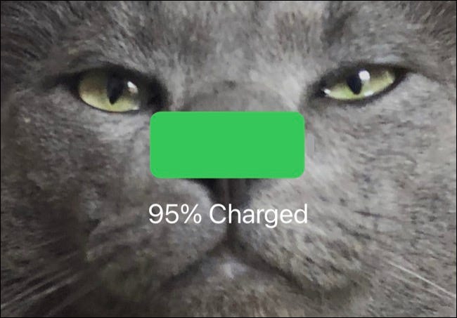 Batería del iPhone cargada al 95%