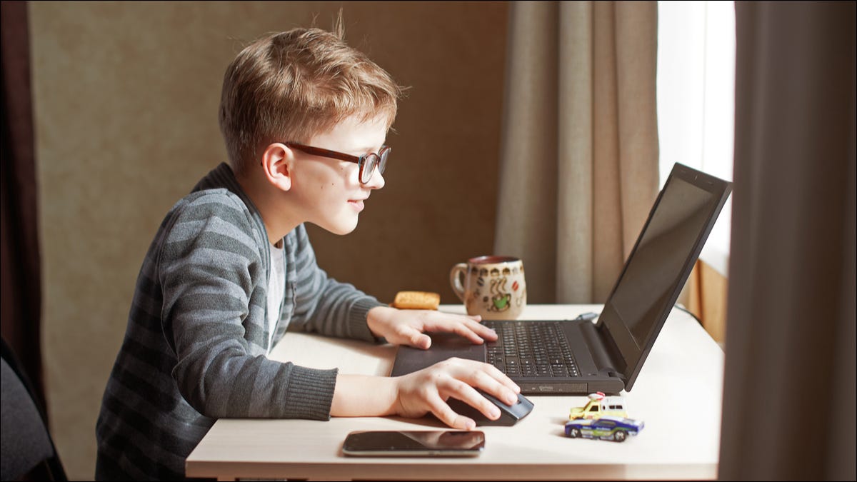 Un niño usando una computadora