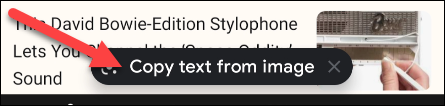 Seleccione "Copiar texto de la imagen".